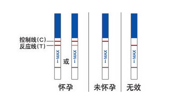 大衛(wèi)早早孕試紙?jiān)趺纯?jpg