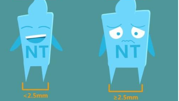 nt數(shù)值正常范圍小于2.5