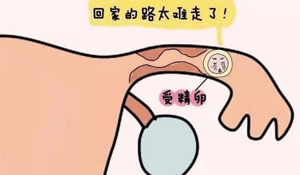 輸卵管堵塞導(dǎo)致不孕